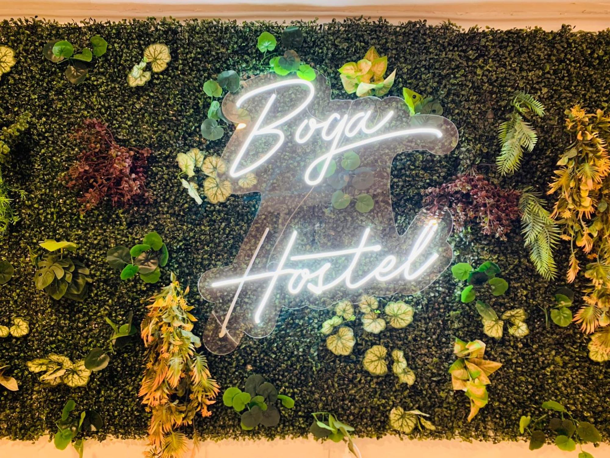 Boga Hostel — Photos 1